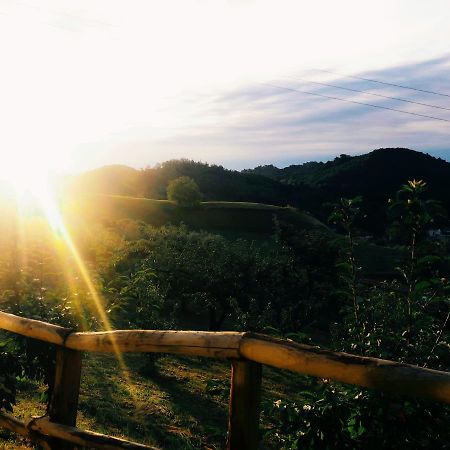 Agriturismo Al Ciliegio Βίλα Marostica Εξωτερικό φωτογραφία